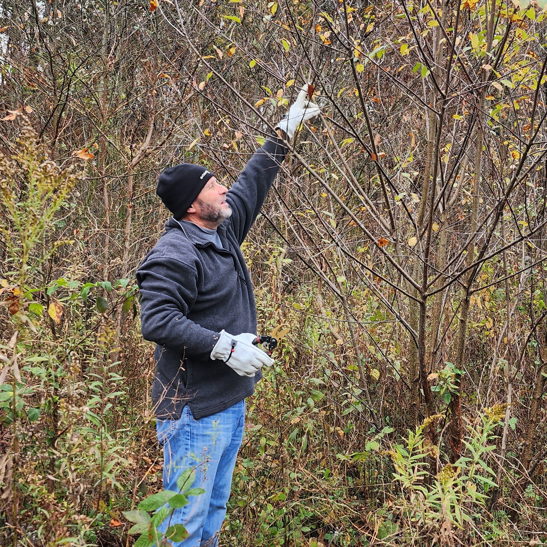 November 7th - Free-a-Tree Volunteer Opportunity - logo